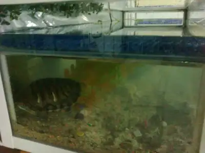 $02082011098.webp