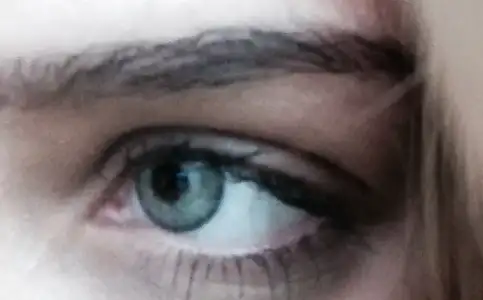 image.webp