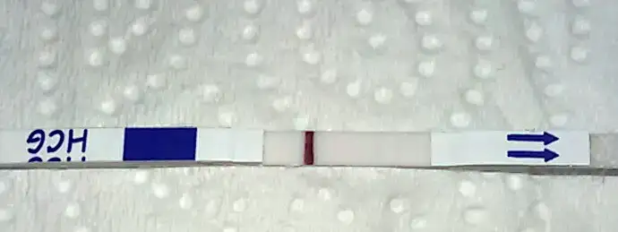 2015-04-09 23.41.14-1.webp