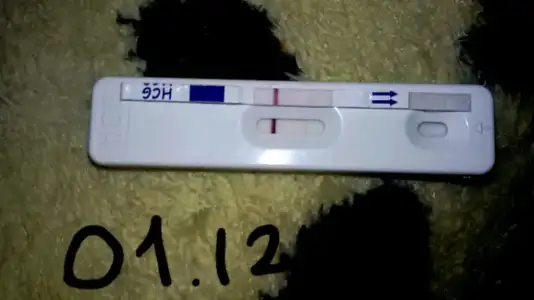 2014-12-01 09.26.24.webp