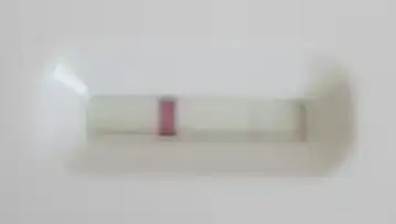 2015-04-18 14.44.11.webp