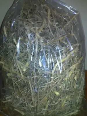 $030820111399.webp