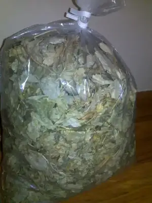 $030820111402.webp