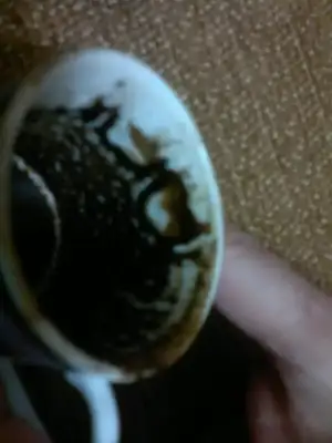 $03082011260.webp