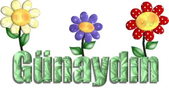 $gnaydn20bq6.webp