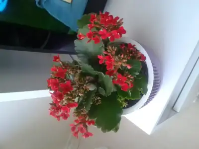 2015-04-21 17.33.33.webp