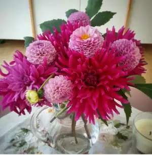 2015-04-22 12.48.54.webp