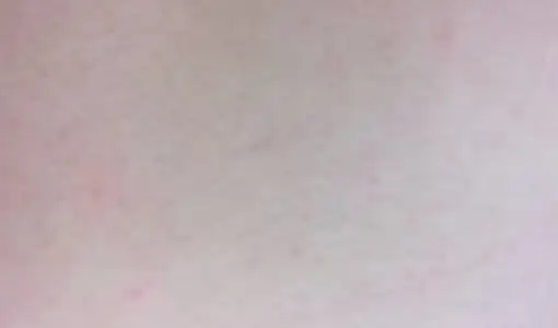 WP_20150502_001.webp