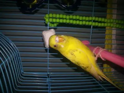 20150503_175016.webp