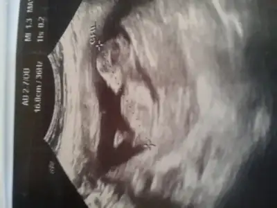 2015-05-06 10.18.14.webp