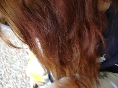 $DSC02848 paınt.webp