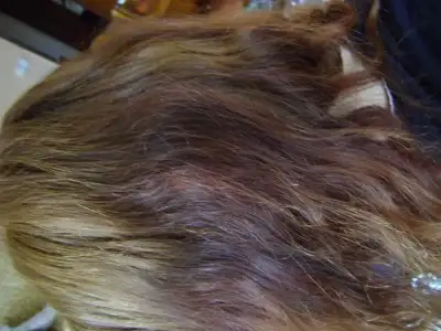 $DSC02853 paint.webp