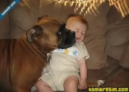 $20080411_2_1207862777_rq0i.webp