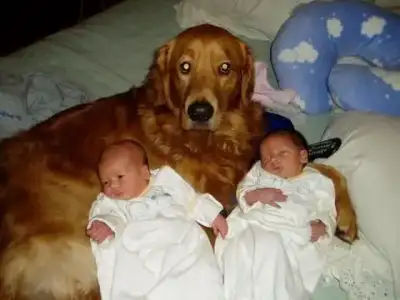 $babies.webp