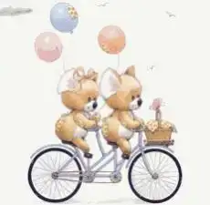 $biketeddys24nf2ee1.webp