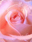$996a3ef491bbcced7daf1bb5e758ee79_49539.gif