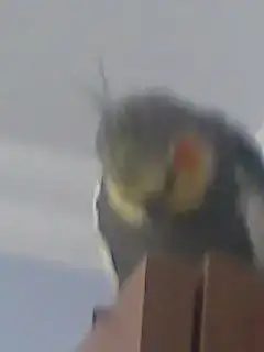 $Görüntü059.webp