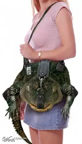 $29ebe697a763.webp