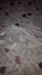 946761-cd2f524de98d80adf875f13256e42973.webp