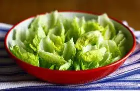 untitled.webp