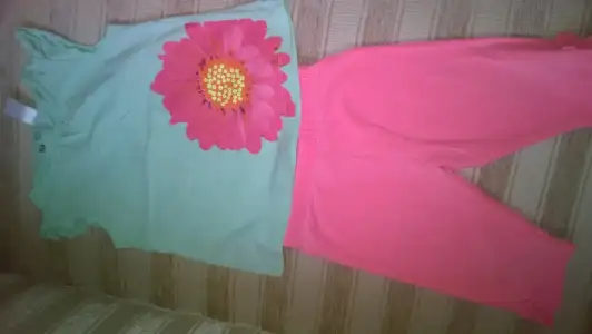WP_20150511_010.webp
