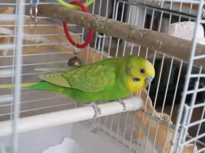 DSCF5673.webp