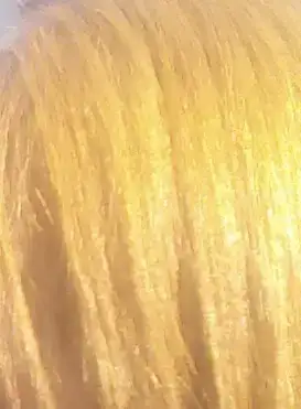 IMG_20150413_162552784.webp IMG_20150413_162552784.webp