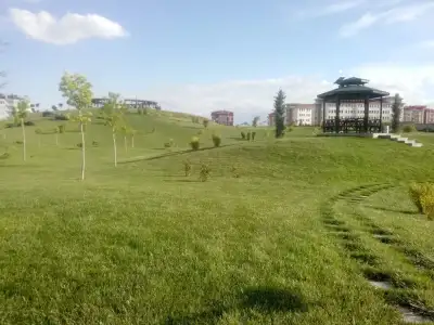 IMG_20150513_175124.webp IMG_20150513_175124.webp