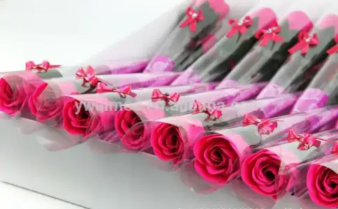 HTB1Z.VBFVXXXXXhXVXXq6xXFXXXH.webp