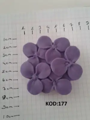 11205636_104208649913238_5296065213436927148_n.webp