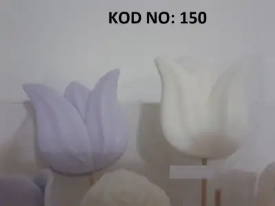50.webp
