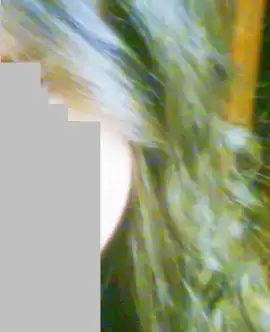 $Untitled5555.webp $Untitled5555.webp