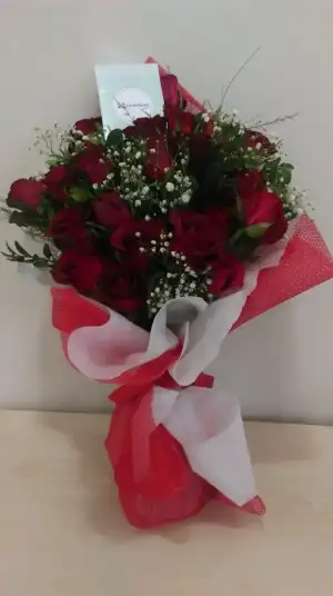 IMAG0563.webp