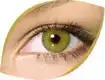 unnamed (12).webp