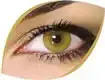 unnamed (11).webp