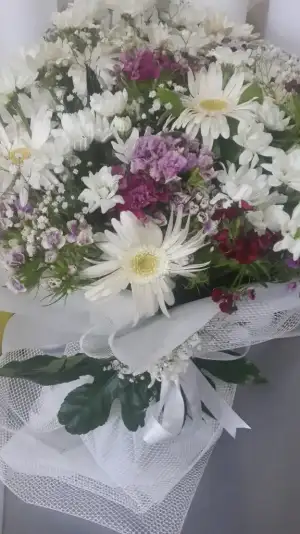 20150529_160610.webp
