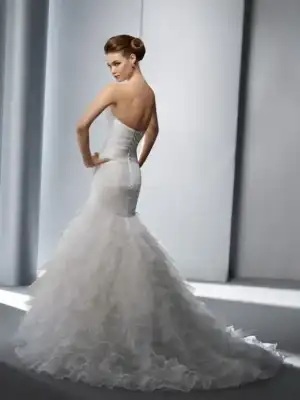 $13132173.webp