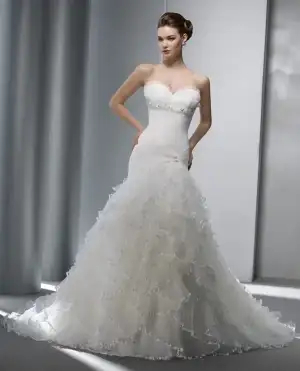 $14021336.webp