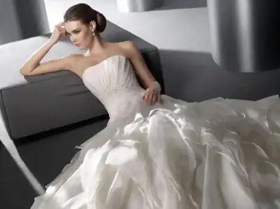 $27461712.webp