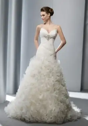$36060164.webp
