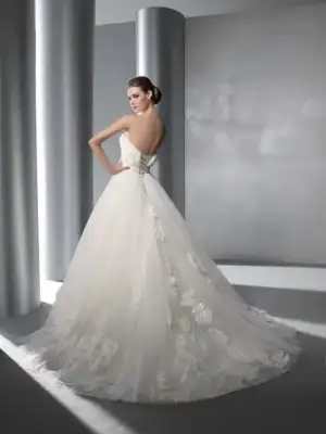 $61620241.webp