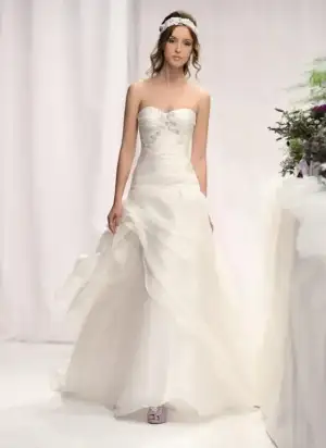 $85987161.webp