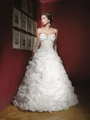 $89883748.webp
