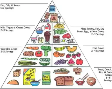 $food_pyramid.webp