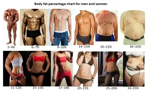 body-fat-percentage-chart-men-women.webp
