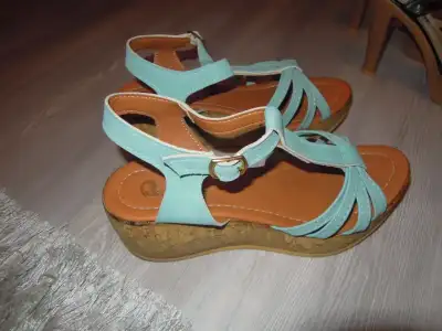 DSCN9579.webp