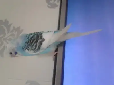 2015-01-12 18.33.38.webp