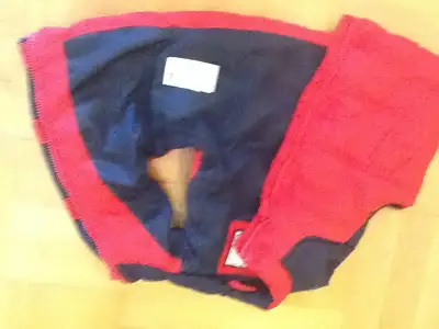 image.webp