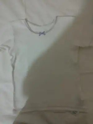 015.webp
