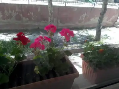 11014929_10205984832912409_828080167949403085_n.webp
